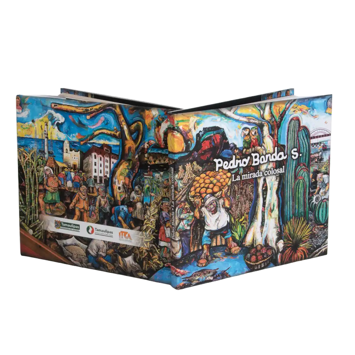 Pedro Banda S. La mirada colosal