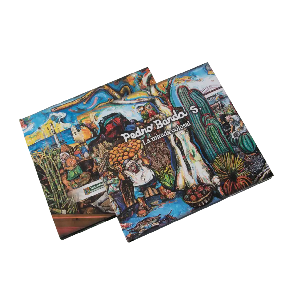 Pedro Banda S. La mirada colosal