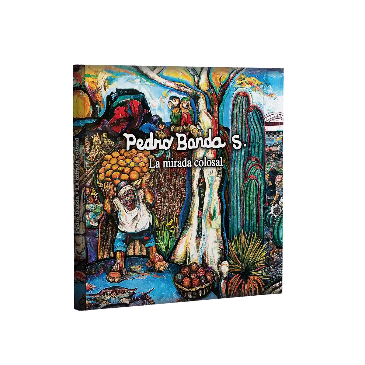 Pedro Banda S. La mirada colosal