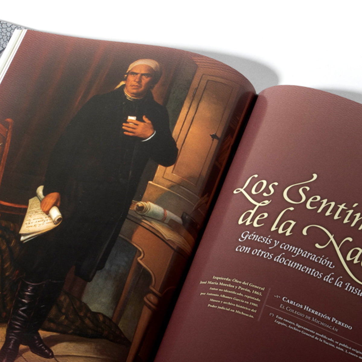 Los Sentimientos de la Nación, Interpretaciones recientes